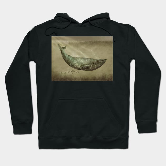 The Damask Whale Hoodie by Terry Fan